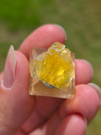 Fluorite jaune du Tarn