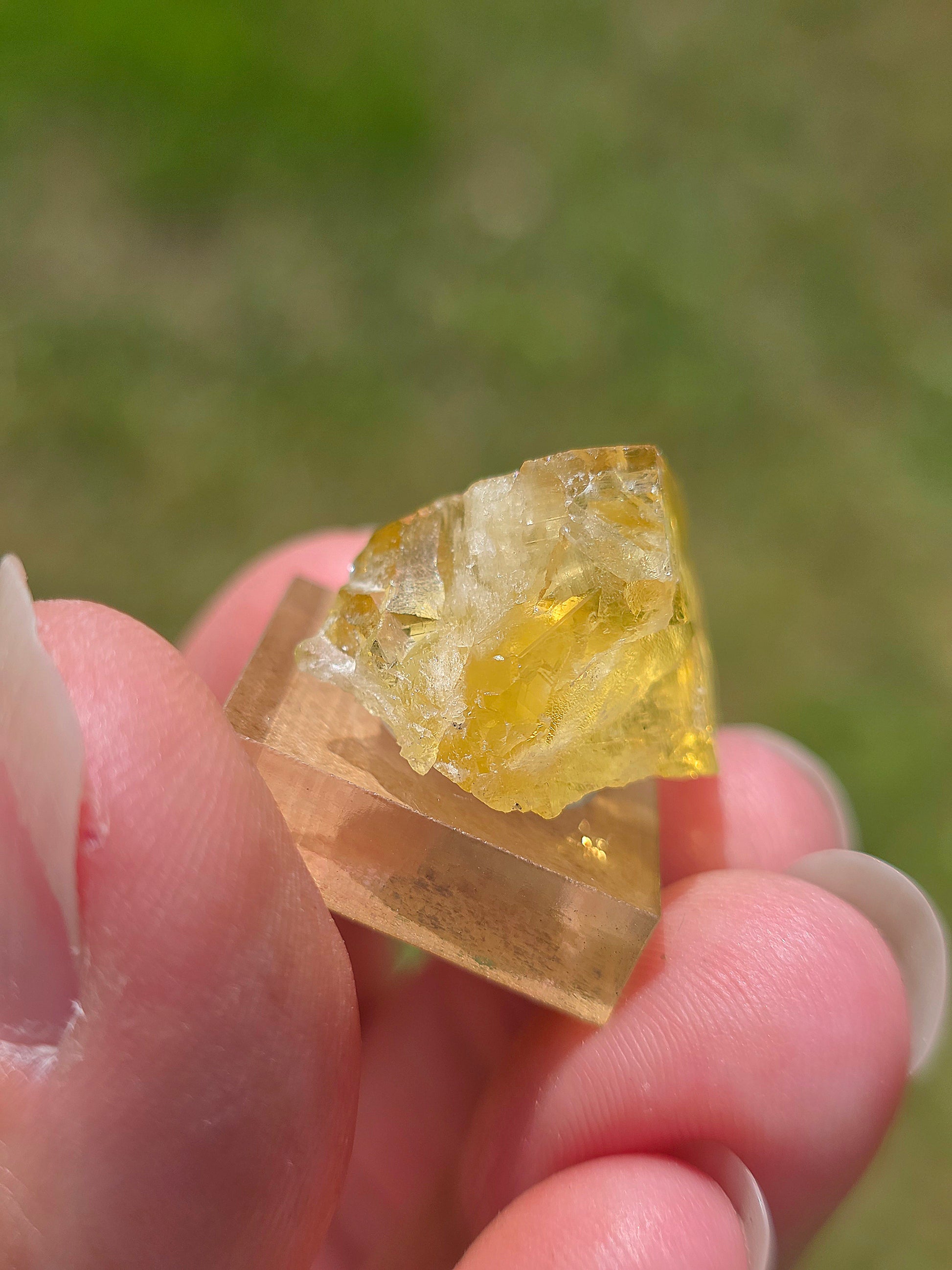 Fluorite jaune du Tarn