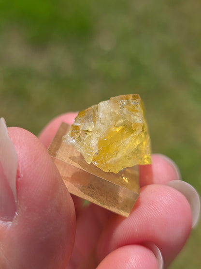 Fluorite jaune du Tarn