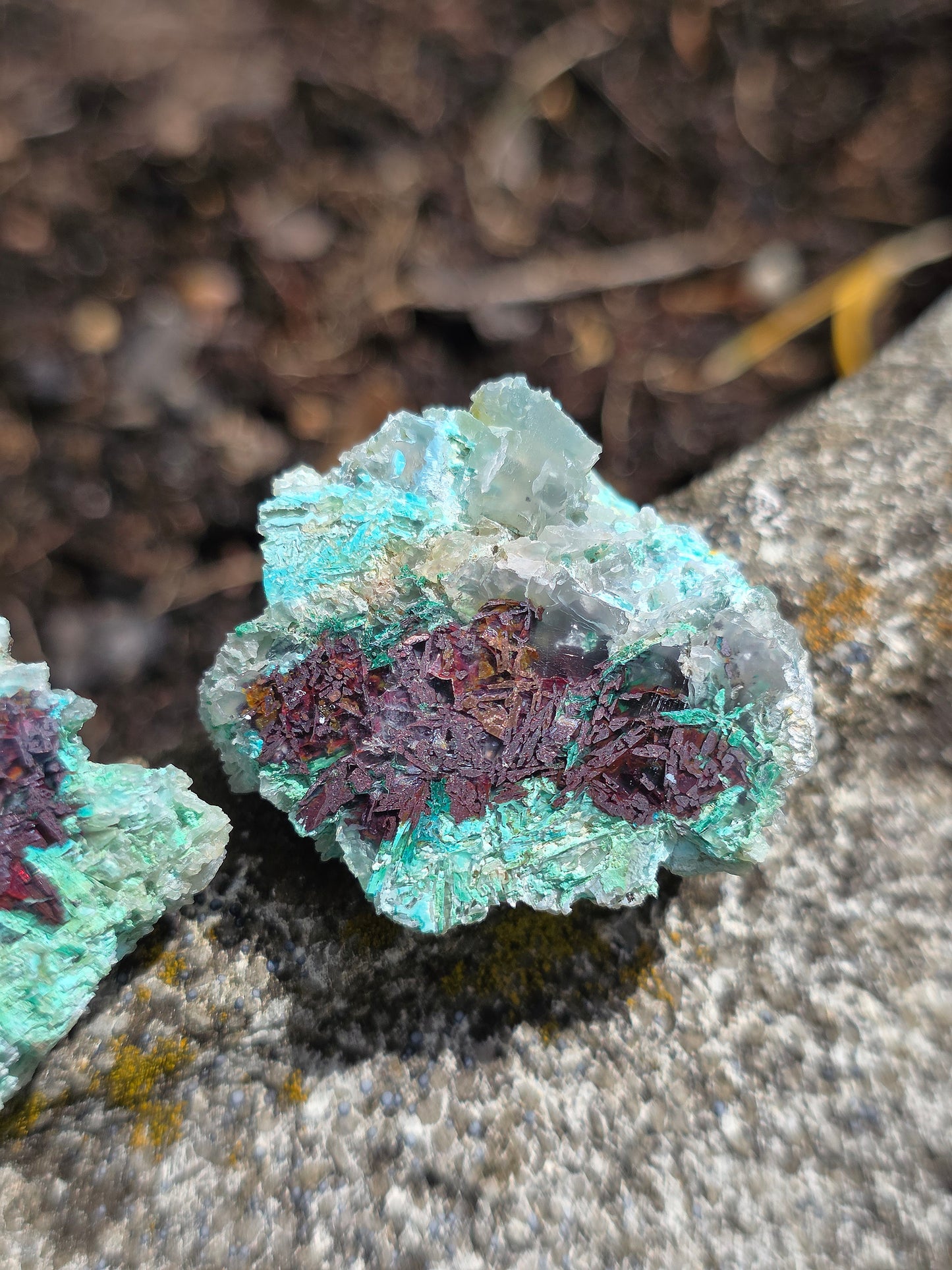 paire de Calcédoine, Chrysocolle et Cuprite d'Indonésie