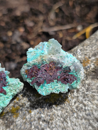 paire de Calcédoine, Chrysocolle et Cuprite d'Indonésie