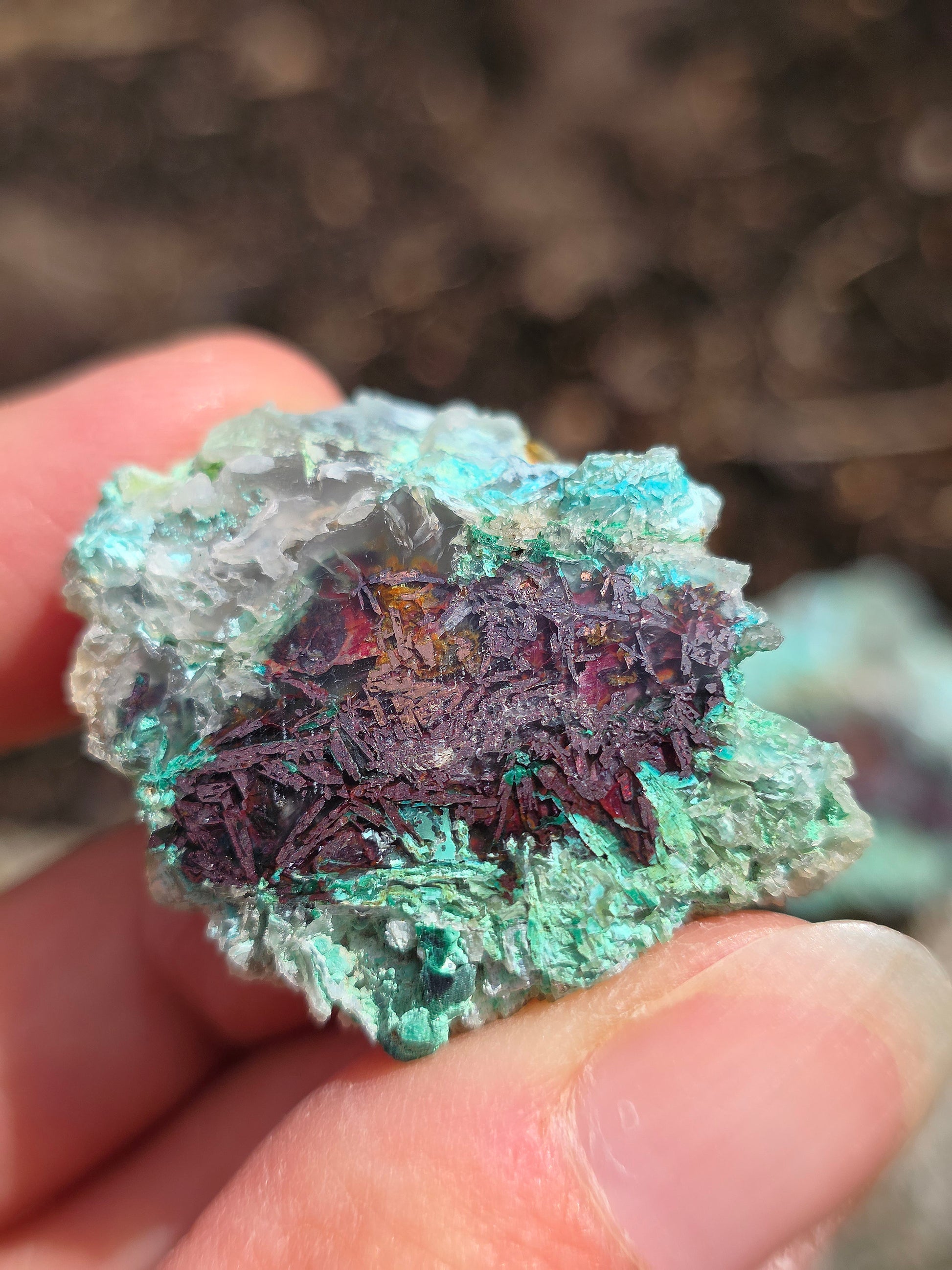 paire de Calcédoine, Chrysocolle et Cuprite d'Indonésie