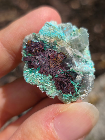 paire de Calcédoine, Chrysocolle et Cuprite d'Indonésie