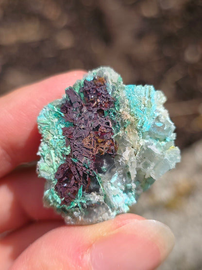 paire de Calcédoine, Chrysocolle et Cuprite d'Indonésie