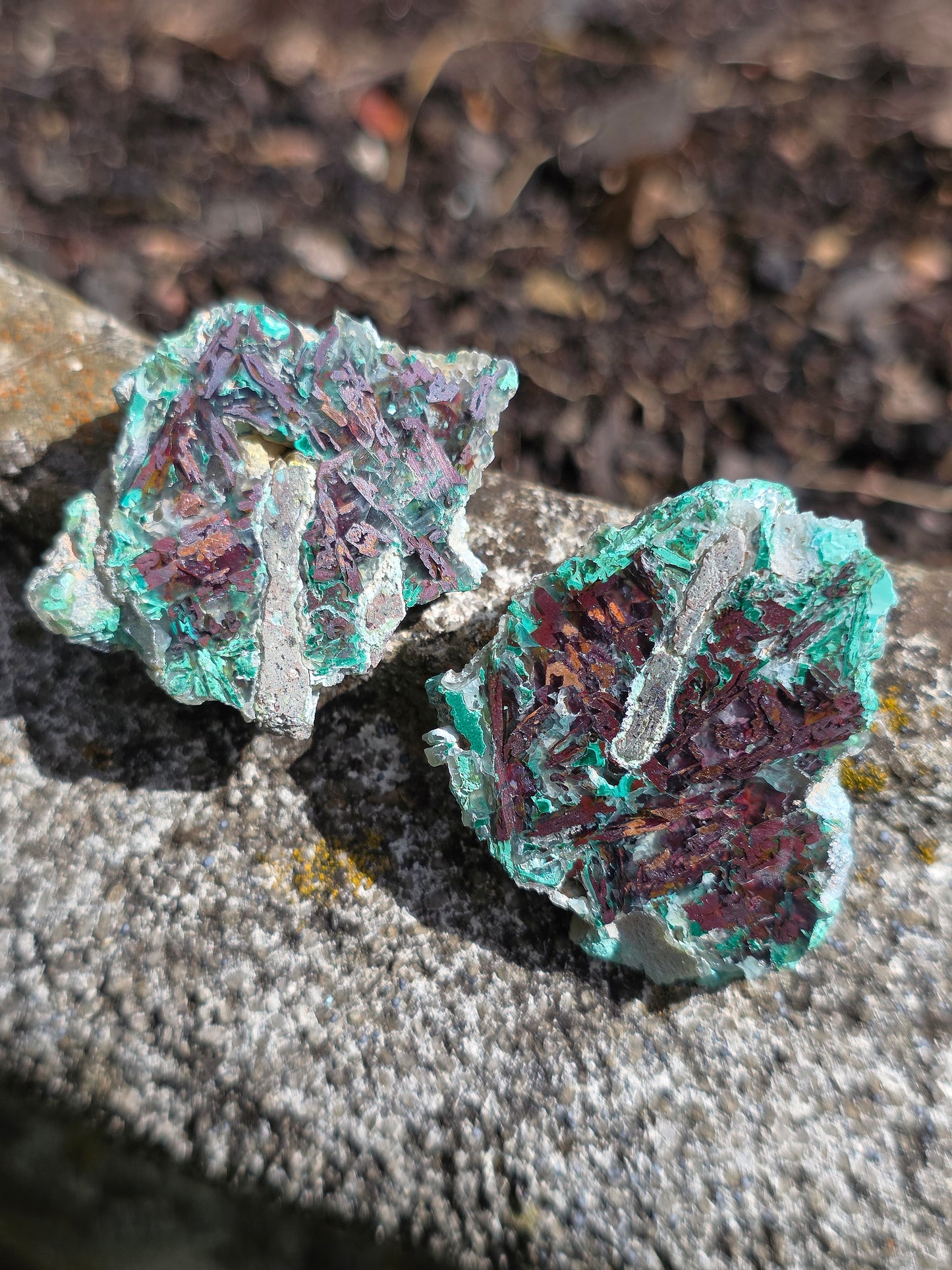 Calcédoine, Chrysocolle et Cuprite d'Indonésie