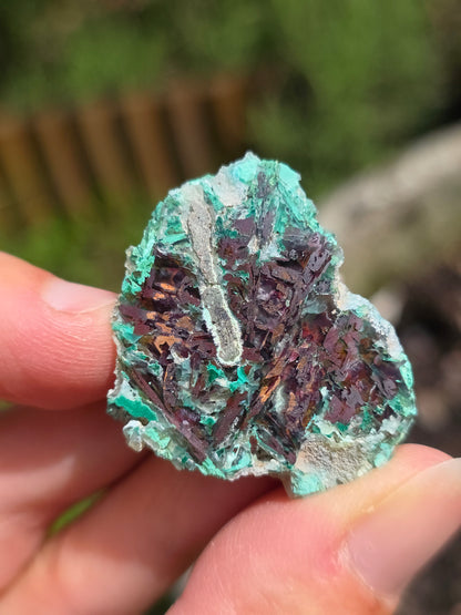 Calcédoine, Chrysocolle et Cuprite d'Indonésie