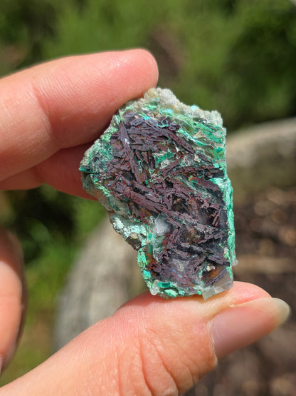 Calcédoine, Chrysocolle et Cuprite d'Indonésie
