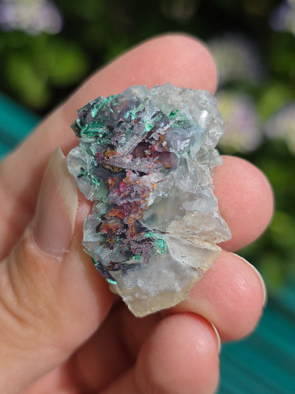 Calcédoine, Chrysocolle et Cuprite d'Indonésie