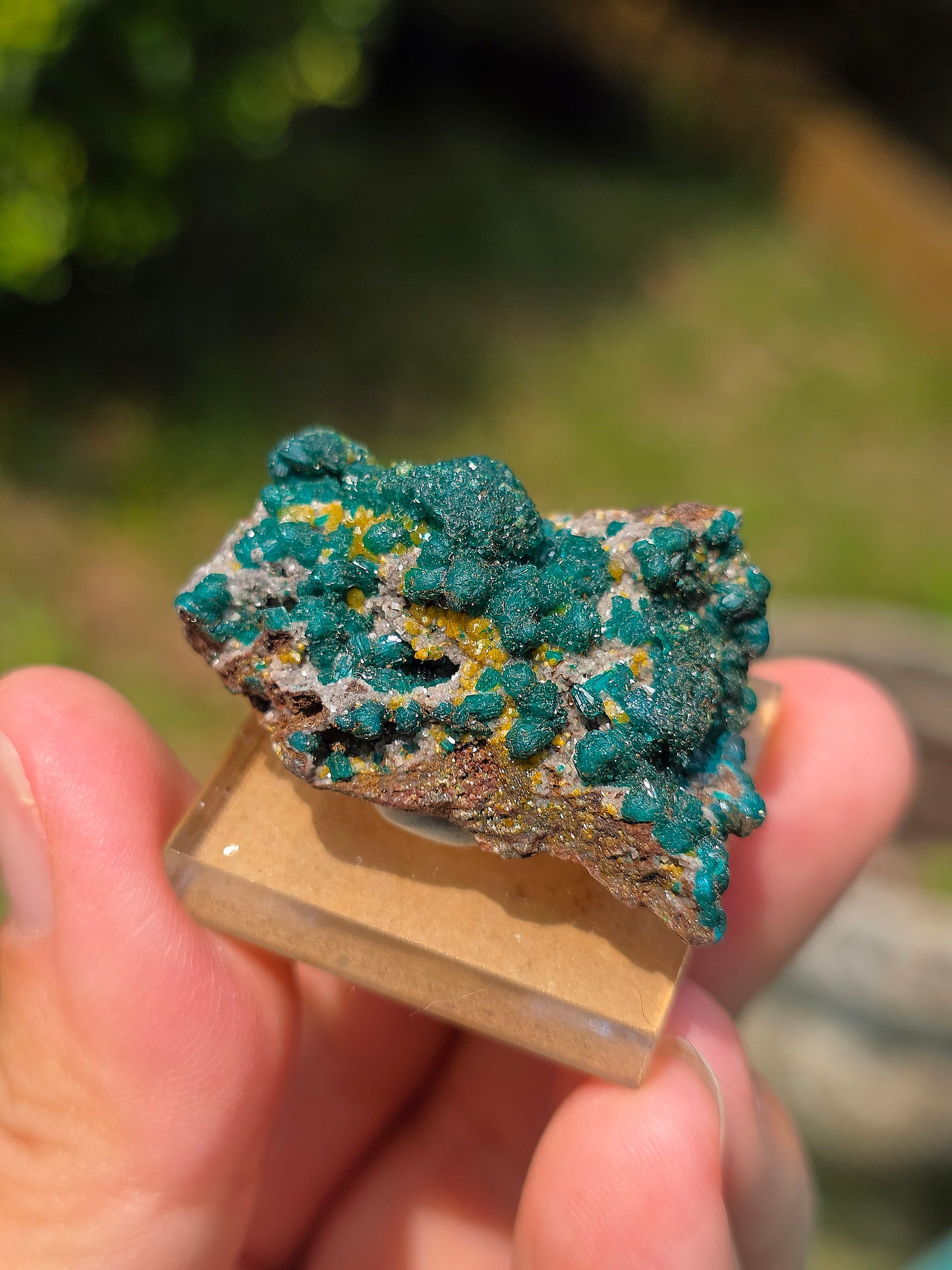 dioptase brut du Congo avec inclusions de Wulfénite et Mimétite