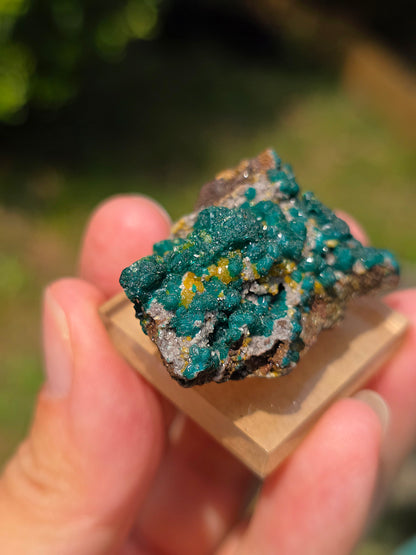 dioptase brut du Congo avec inclusions de Wulfénite et Mimétite
