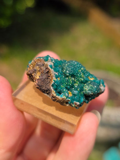 dioptase brut du Congo avec inclusions de Wulfénite et Mimétite