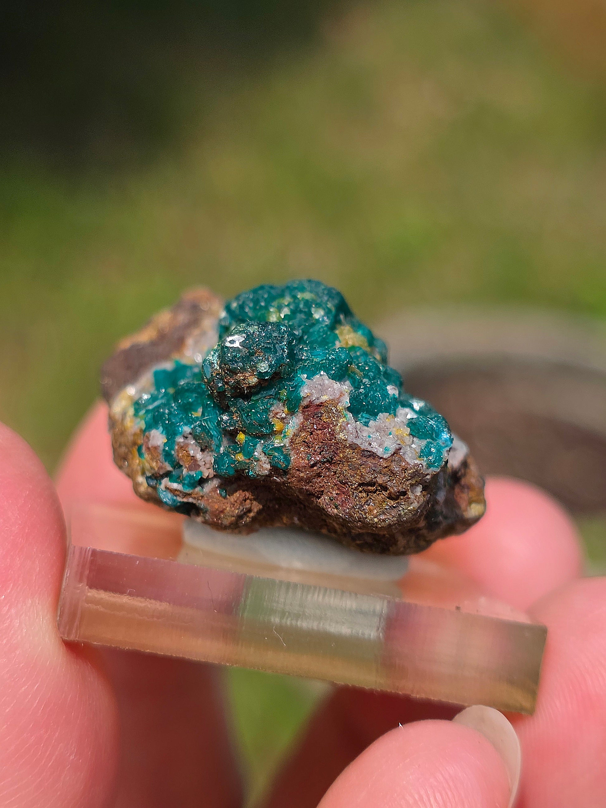 dioptase brut du Congo avec inclusions de Wulfénite et Mimétite