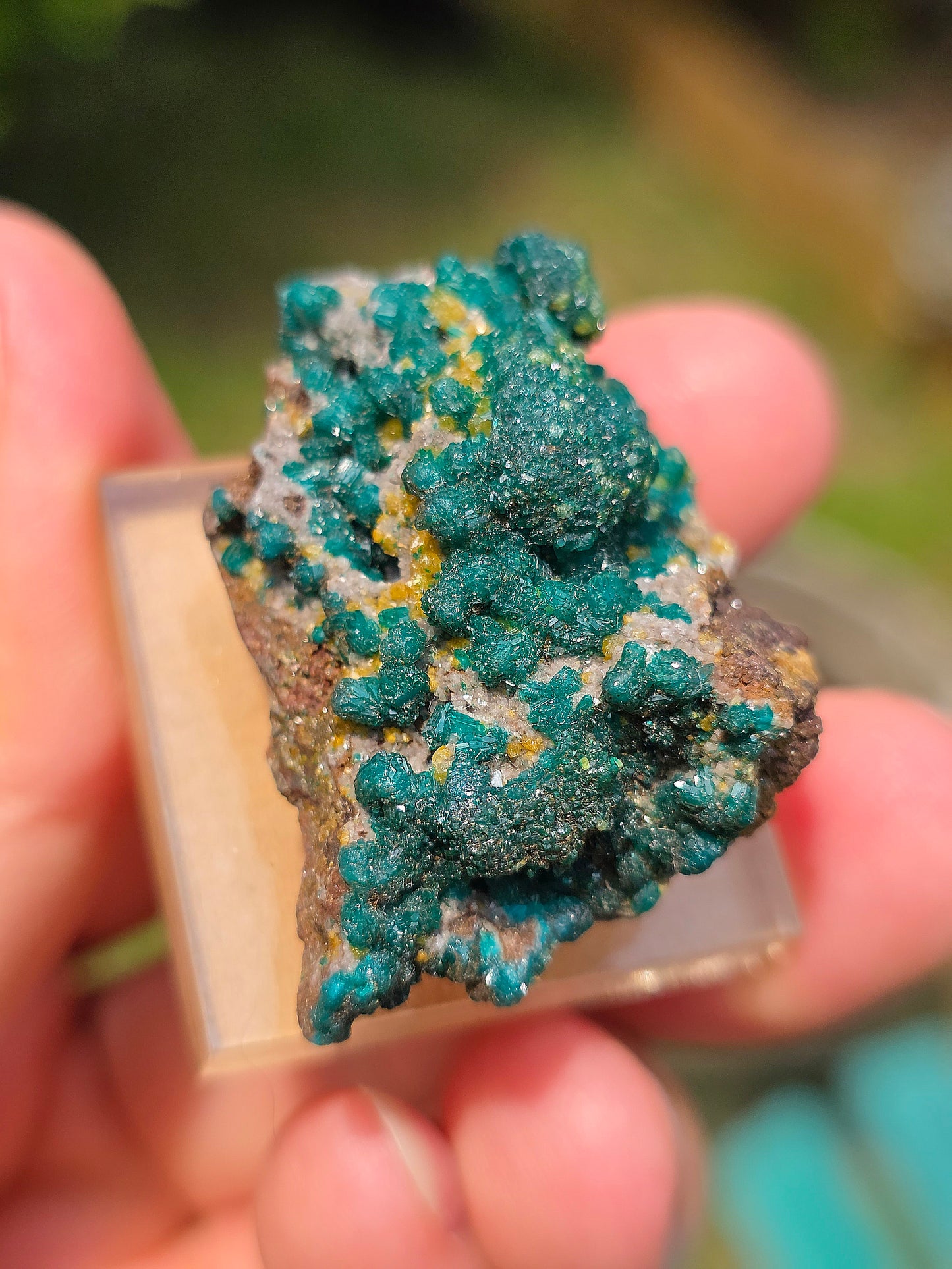 dioptase brut du Congo avec inclusions de Wulfénite et Mimétite