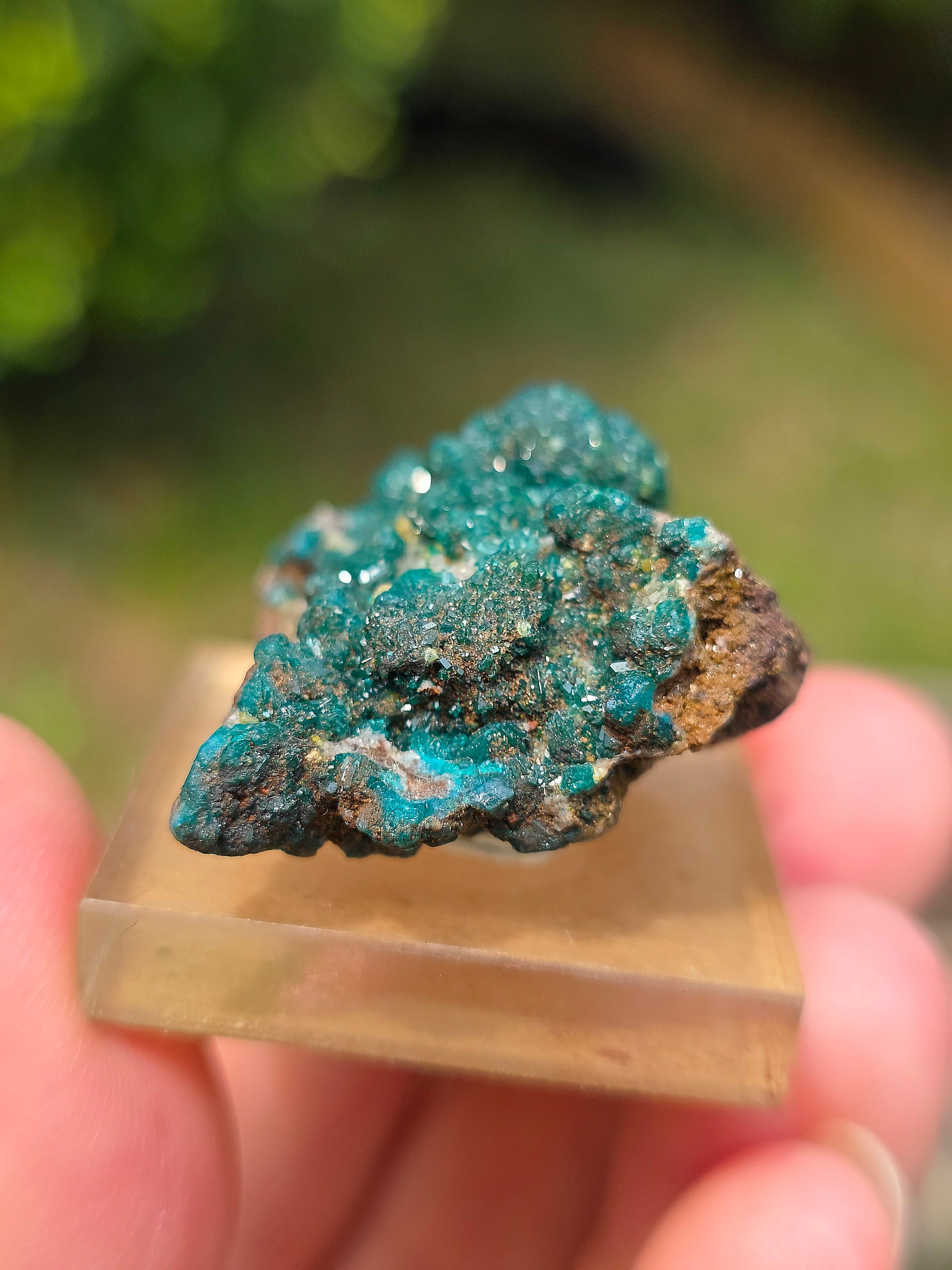 dioptase brut du Congo avec inclusions de Wulfénite et Mimétite