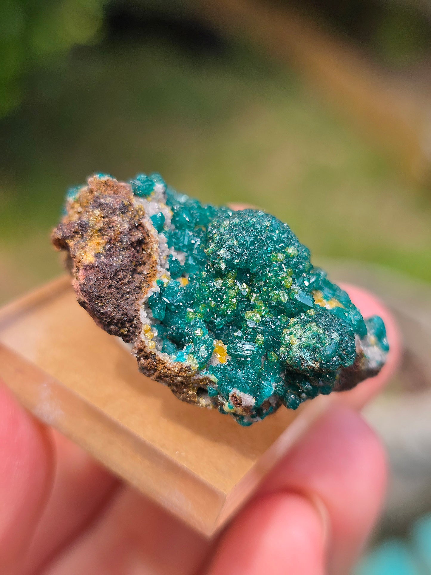 dioptase brut du Congo avec inclusions de Wulfénite et Mimétite