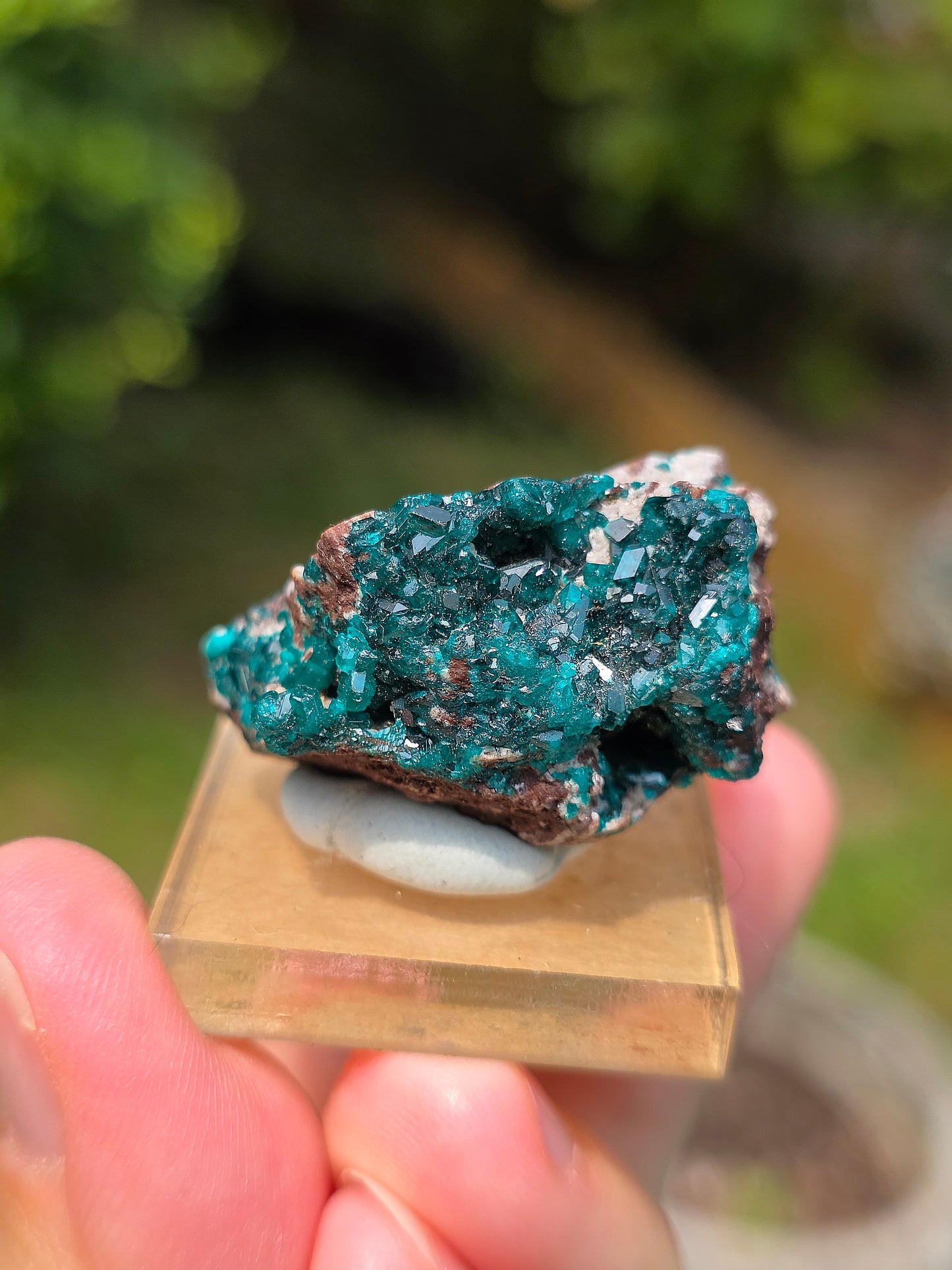 dioptase brut du Congo sur socle
