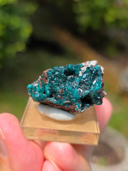 dioptase brut du Congo sur socle
