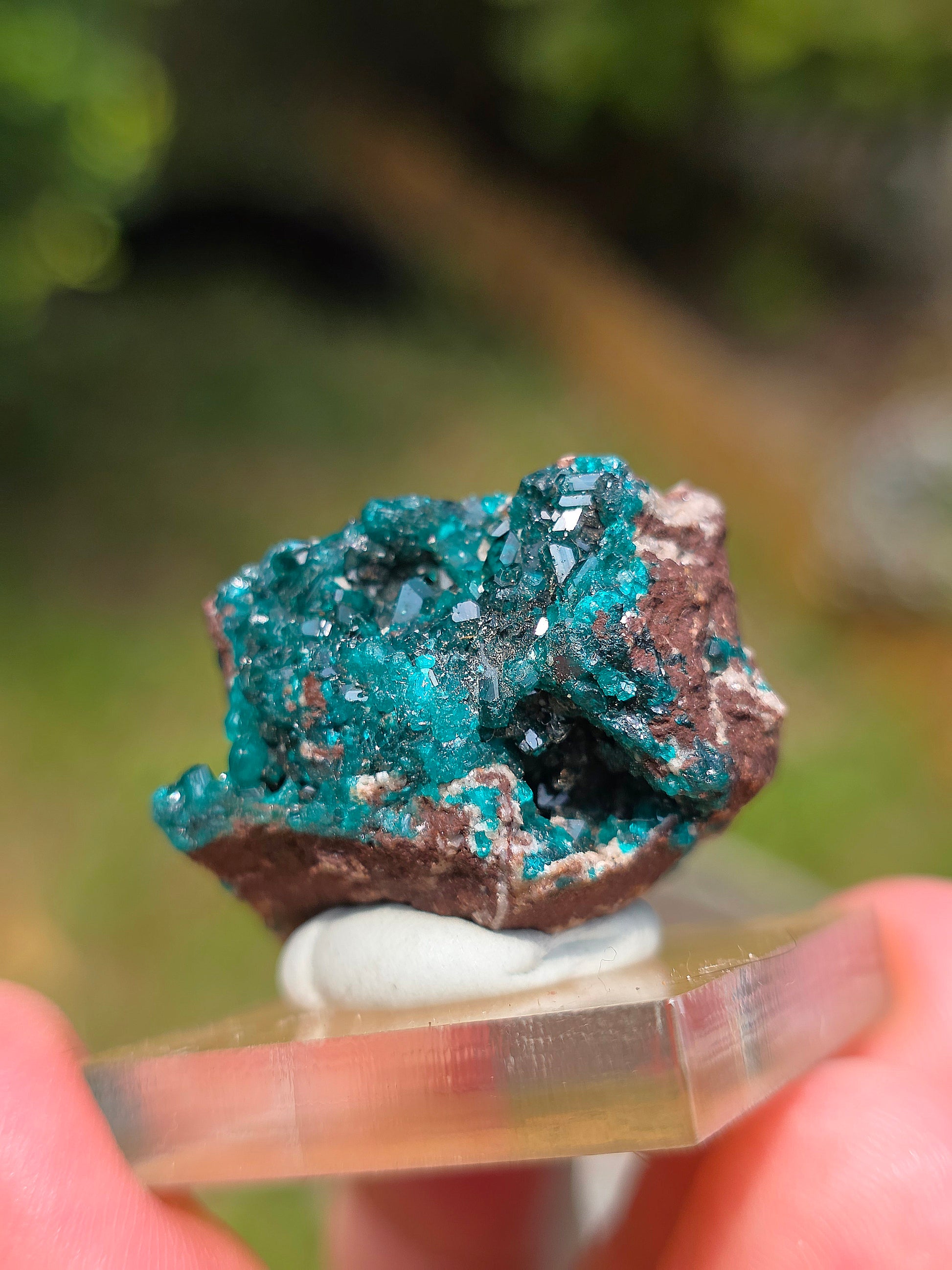 dioptase brut du Congo sur socle