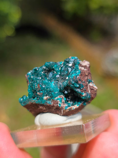 dioptase brut du Congo sur socle