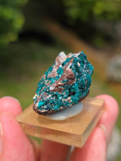 dioptase brut du Congo sur socle