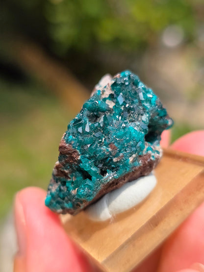 dioptase brut du Congo sur socle