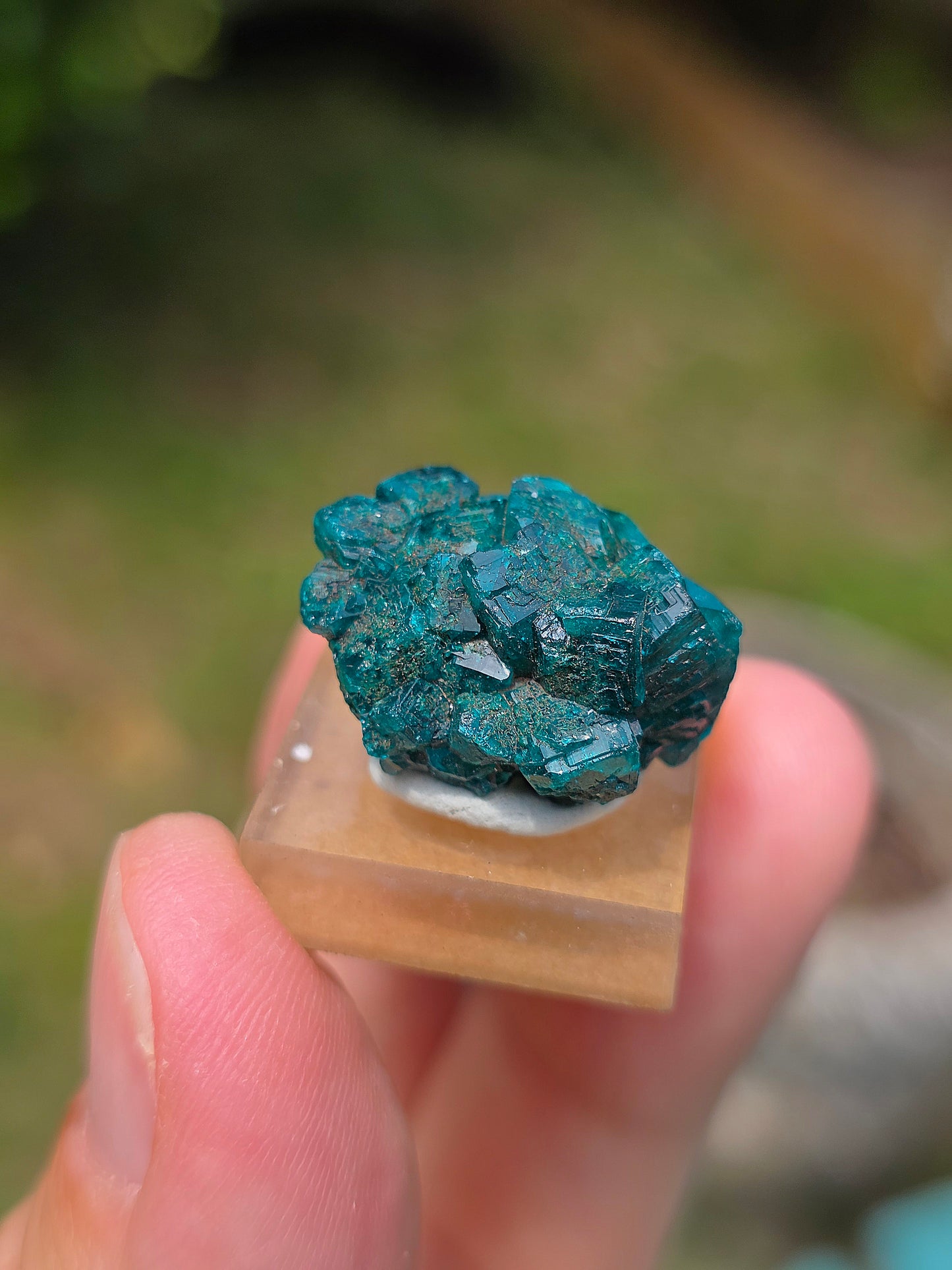 Joli Dioptase brut du Congo 