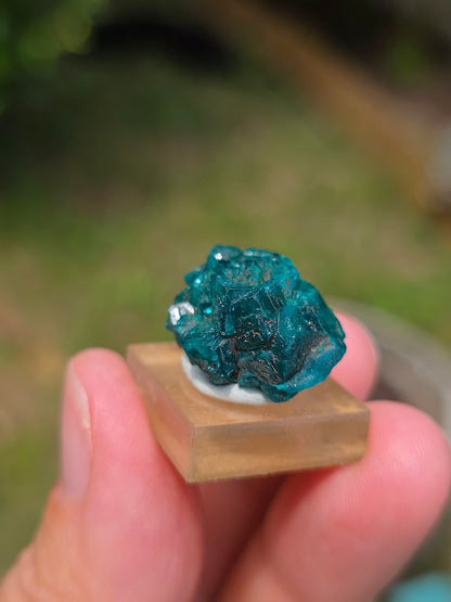 Joli Dioptase brut du Congo 