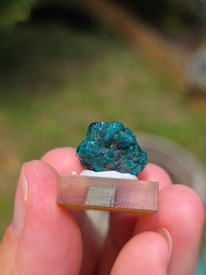 Joli Dioptase brut du Congo 