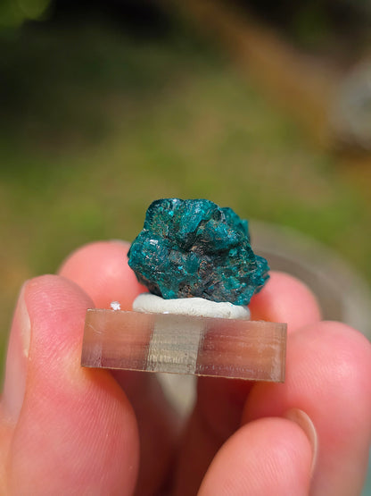 Joli Dioptase brut du Congo 