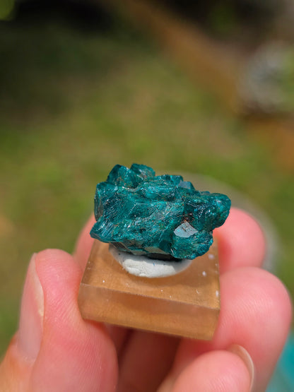Joli Dioptase brut du Congo 
