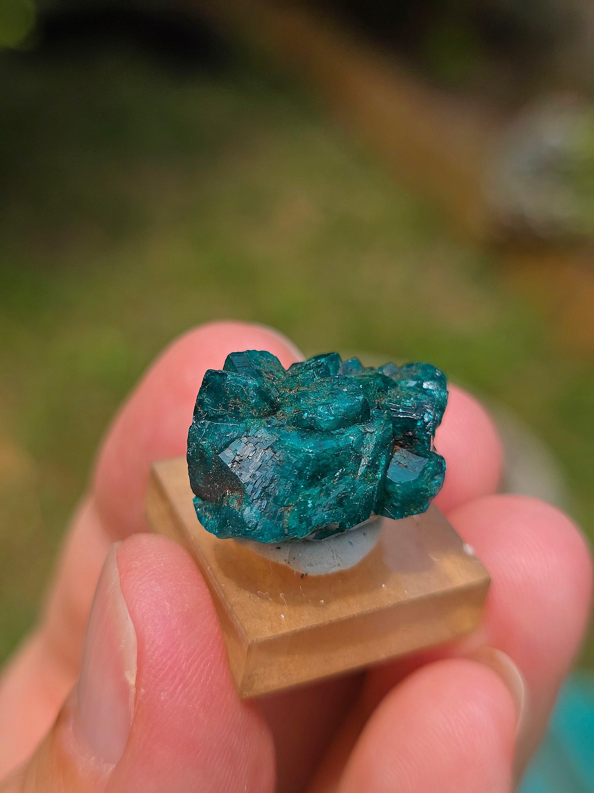 Joli Dioptase brut du Congo 
