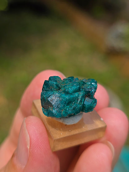 Joli Dioptase brut du Congo 