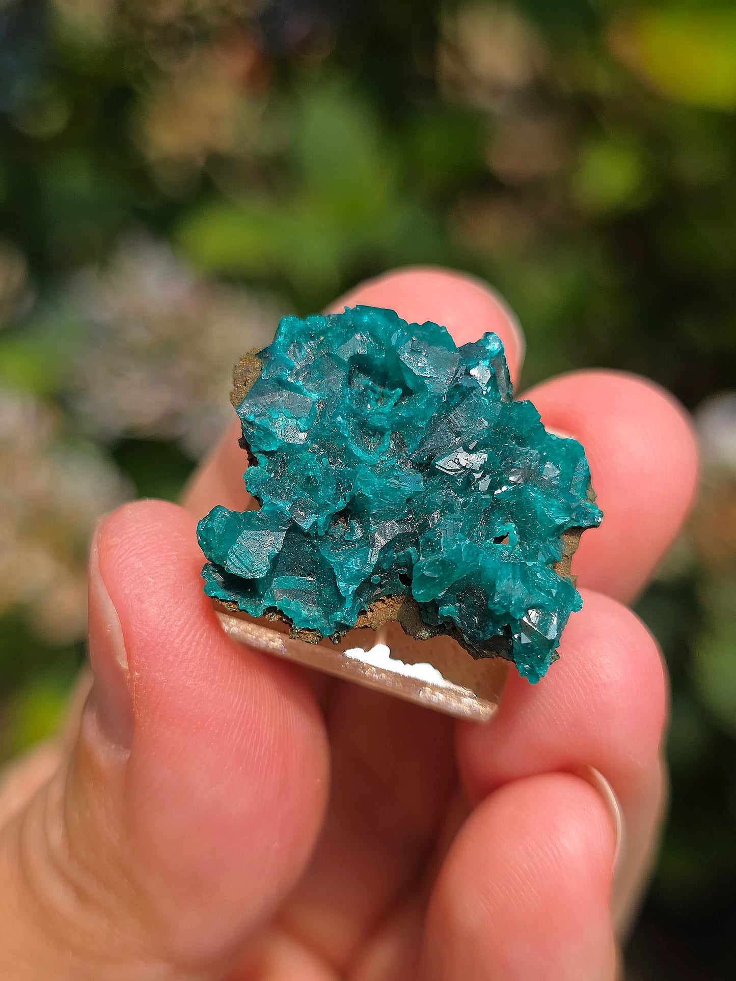 Joli Dioptase brut du Congo 