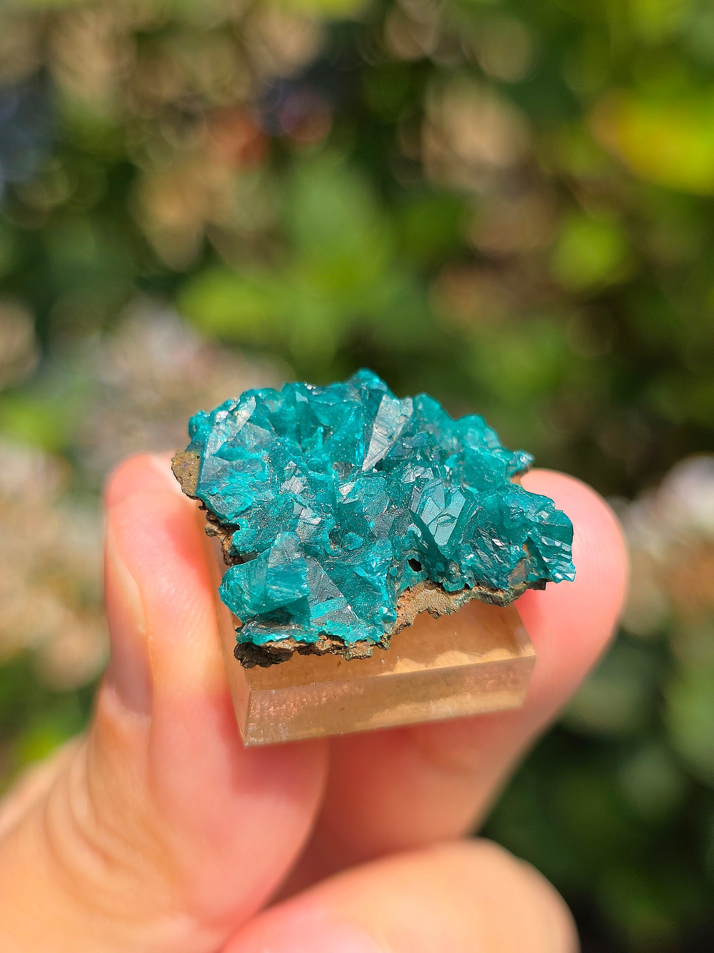 Joli Dioptase brut du Congo 