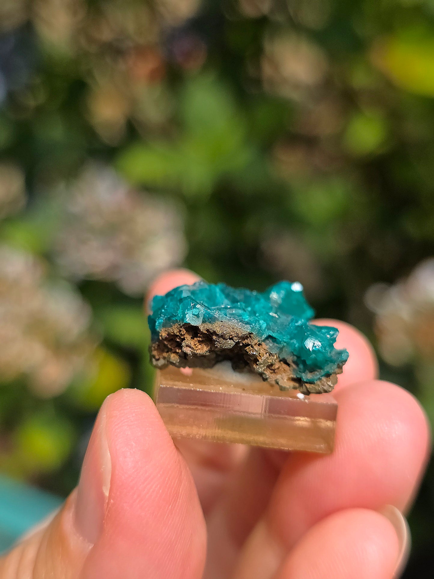 Joli Dioptase brut du Congo 
