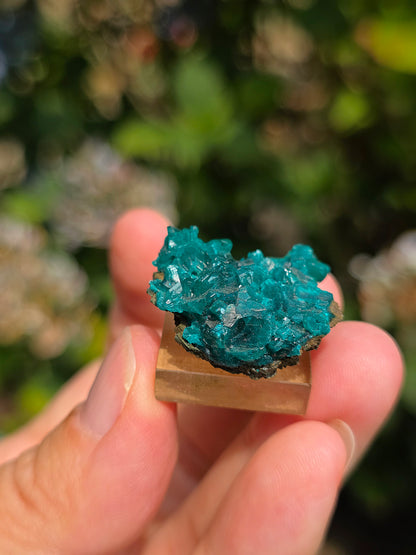 Joli Dioptase brut du Congo 