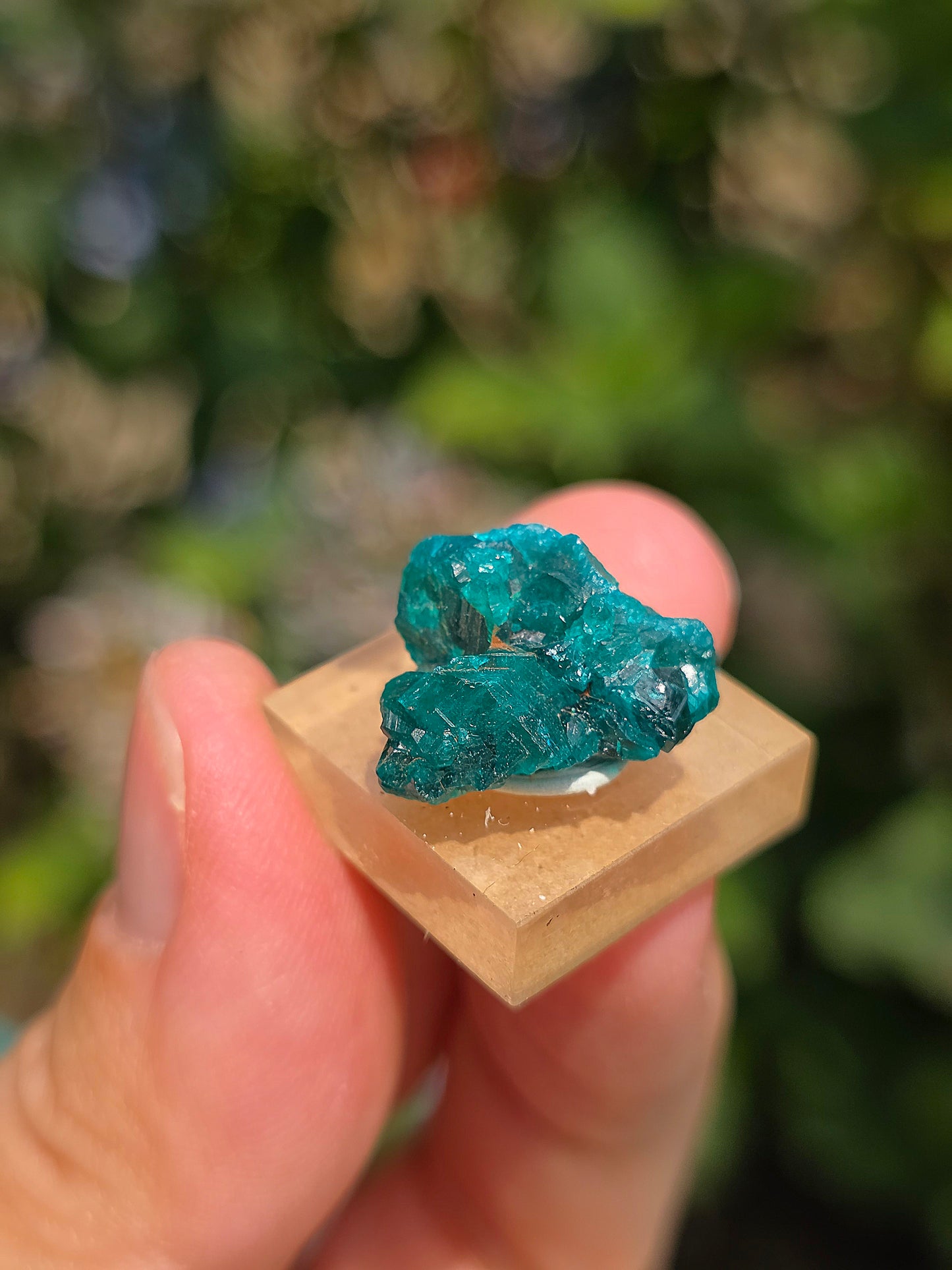 Joli Dioptase brut du Congo 