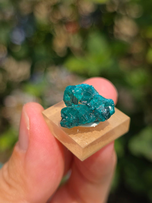 Joli Dioptase brut du Congo 