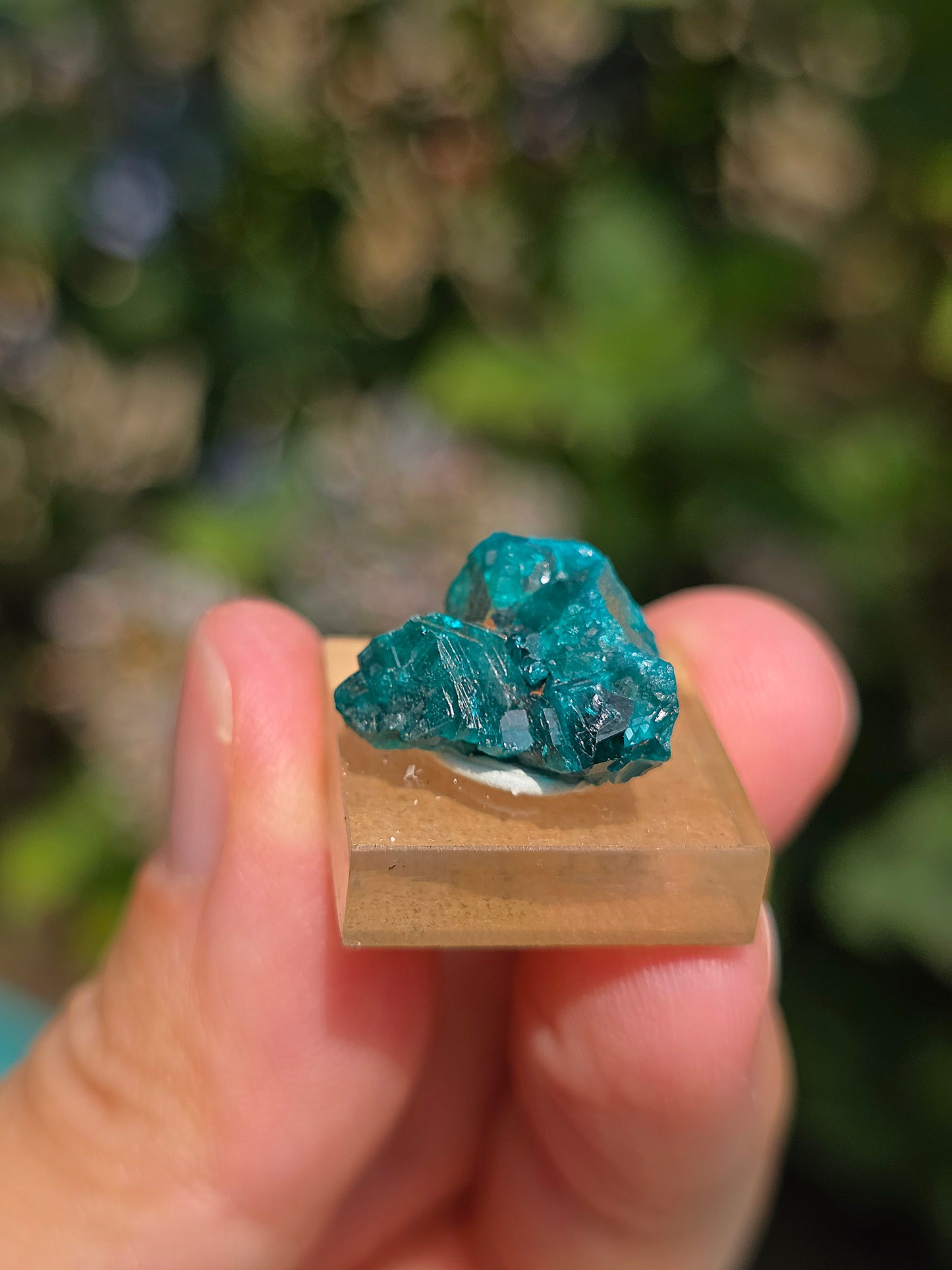 Joli Dioptase brut du Congo 