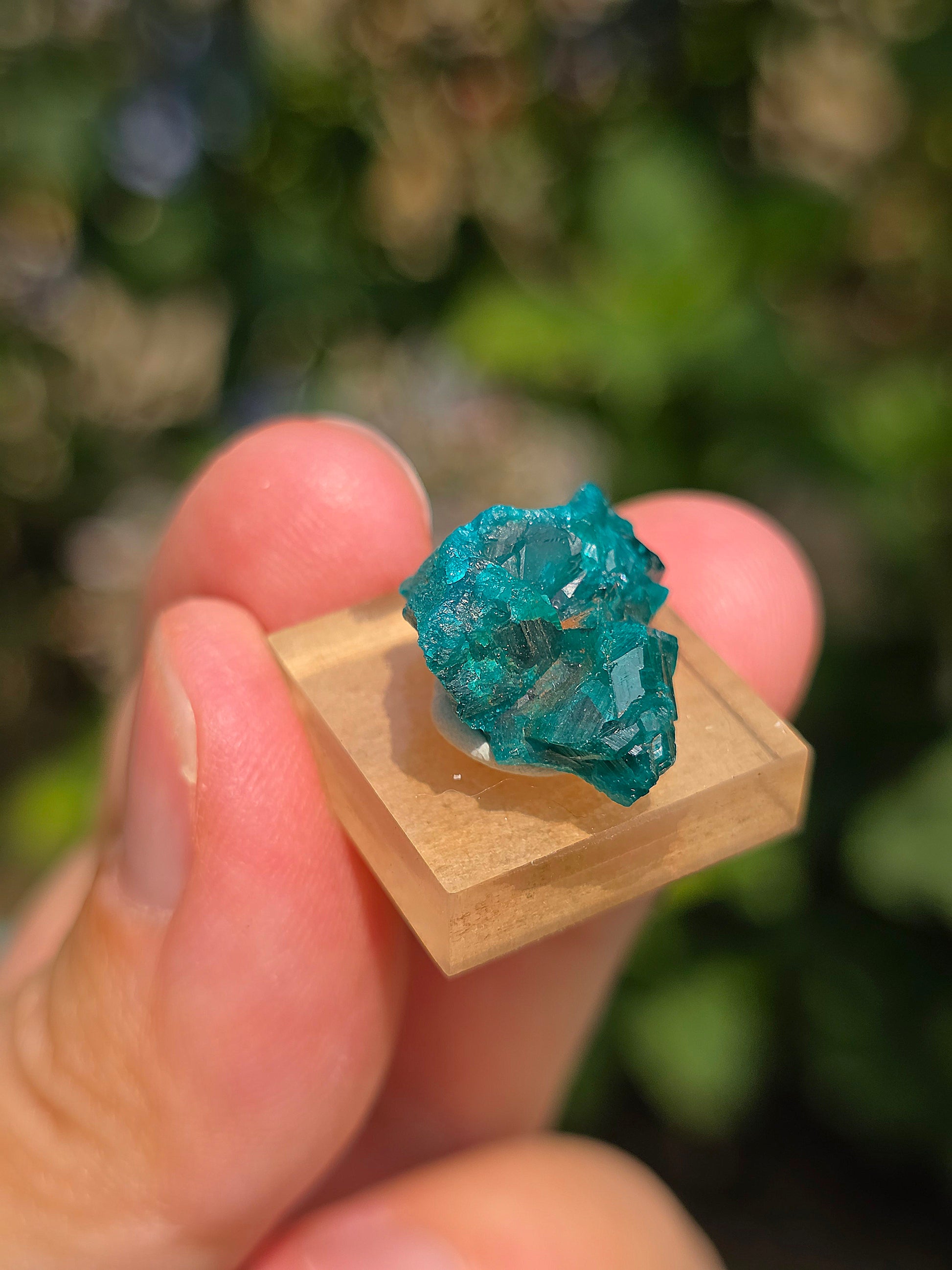 Joli Dioptase brut du Congo 