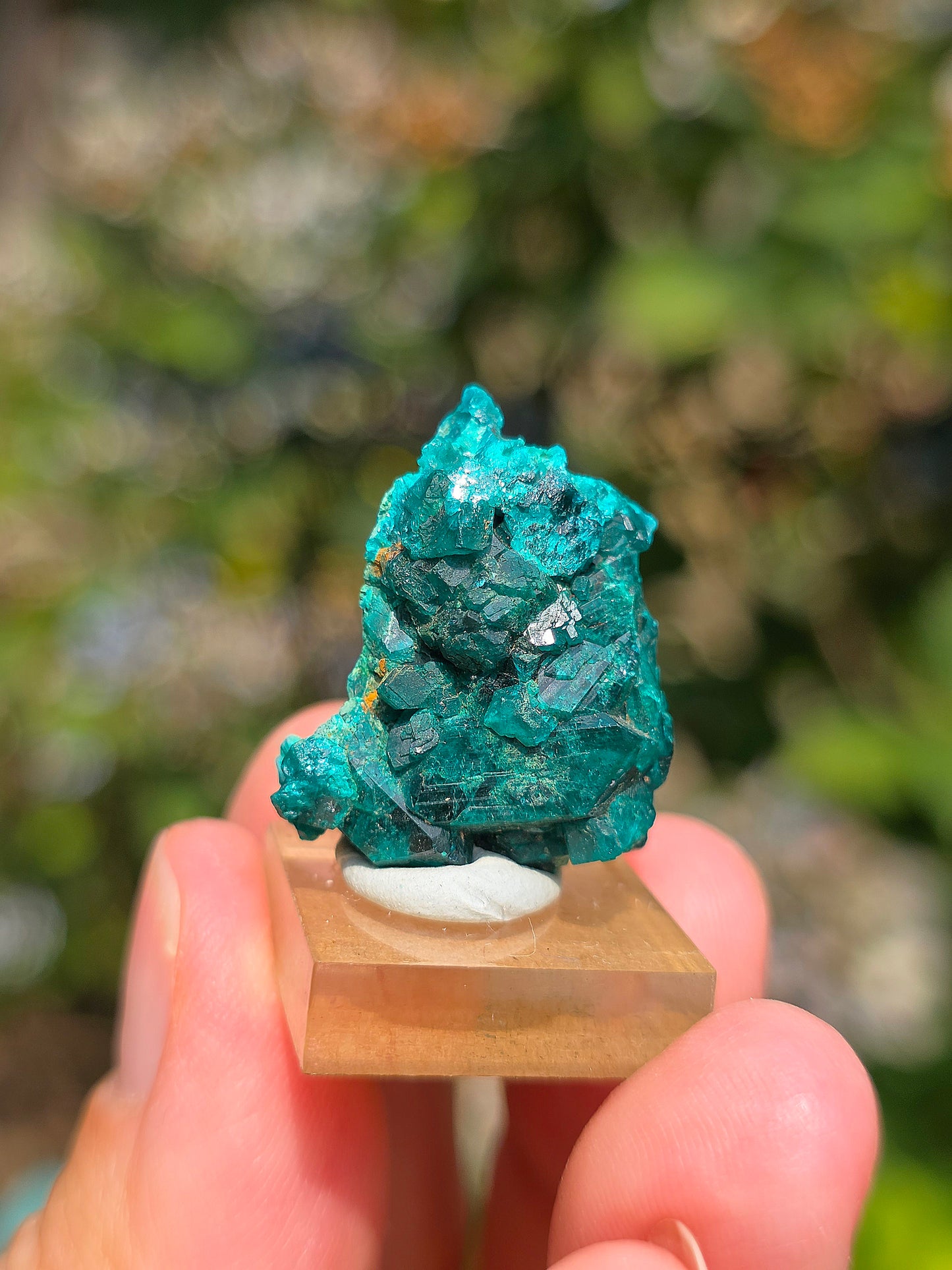 Joli Dioptase brut du Congo 