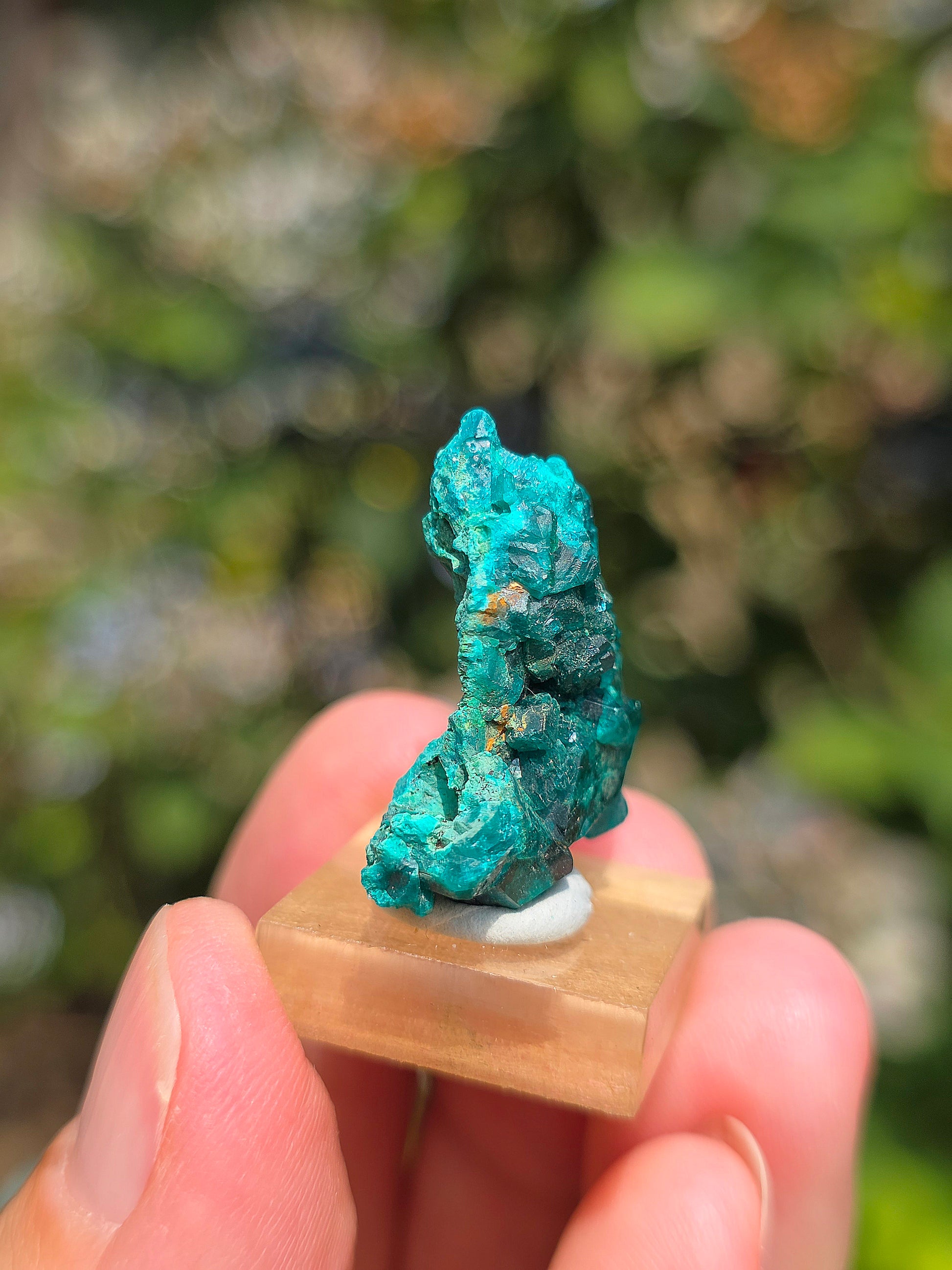Joli Dioptase brut du Congo 