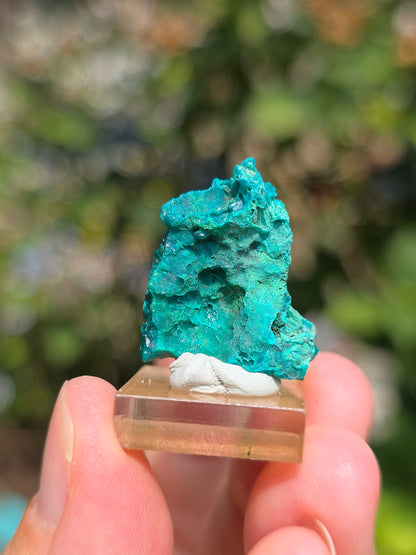 Joli Dioptase brut du Congo 