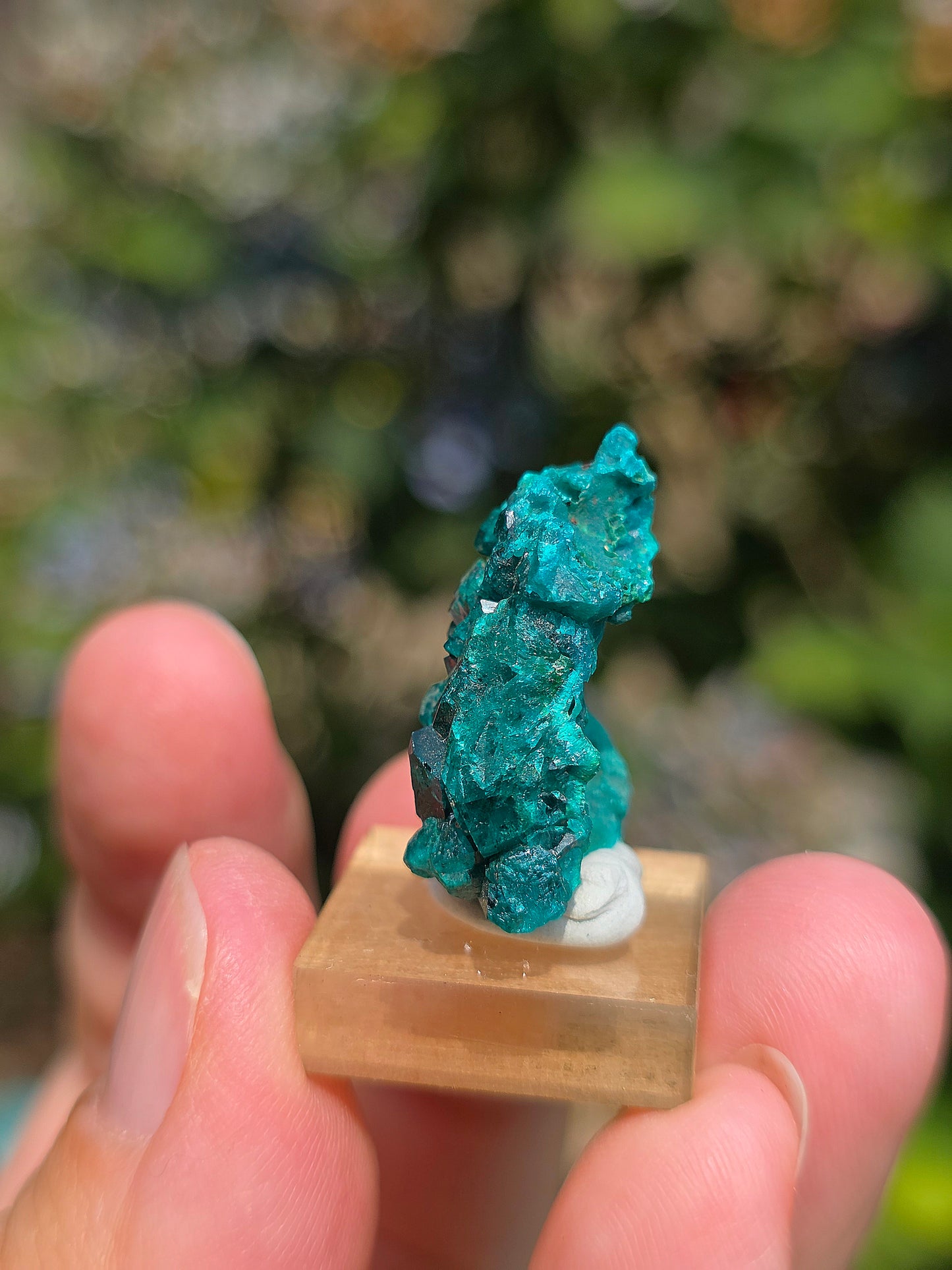 Joli Dioptase brut du Congo 