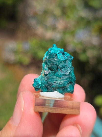 Joli Dioptase brut du Congo 