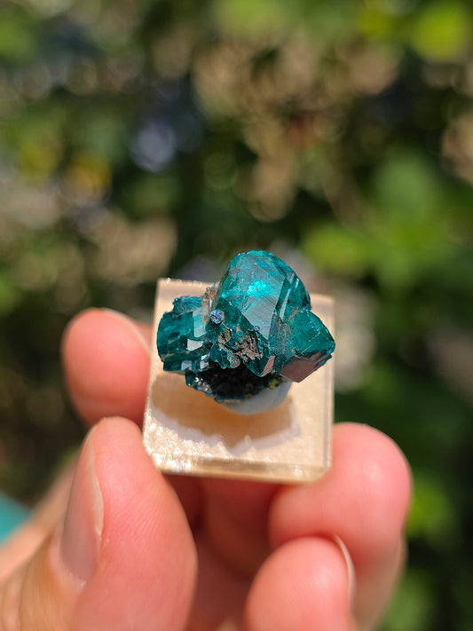 Joli Dioptase brut du Congo 