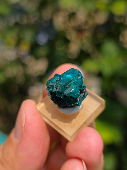 Joli Dioptase brut du Congo 