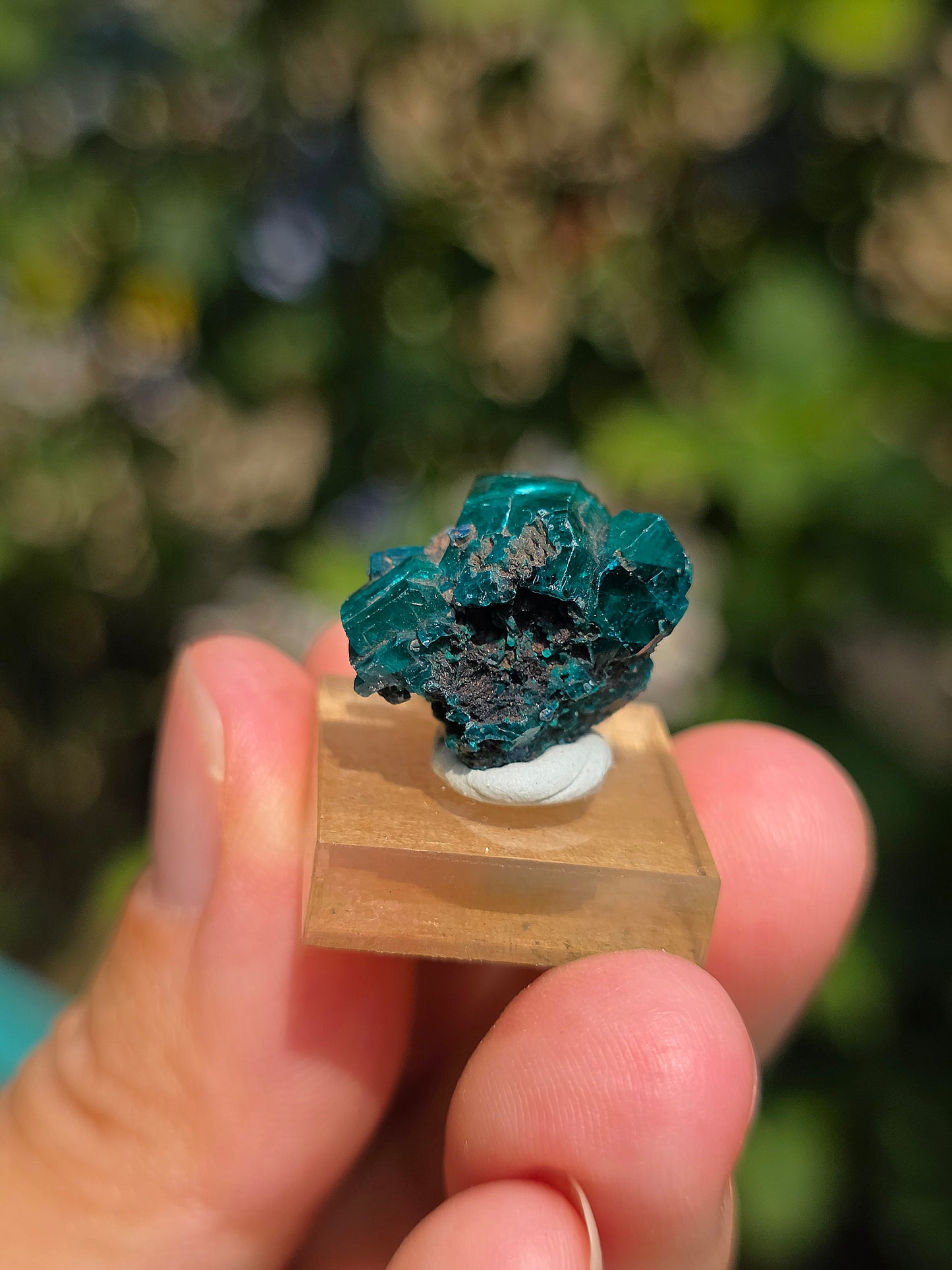 Joli Dioptase brut du Congo 