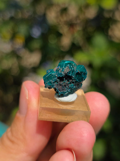 Joli Dioptase brut du Congo 
