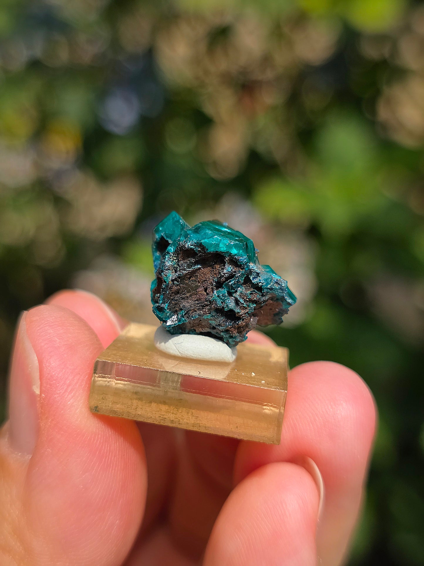Joli Dioptase brut du Congo 